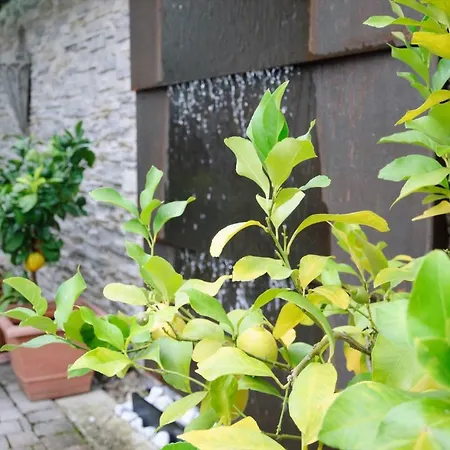 Steiert Appartement Freiburg im Breisgau