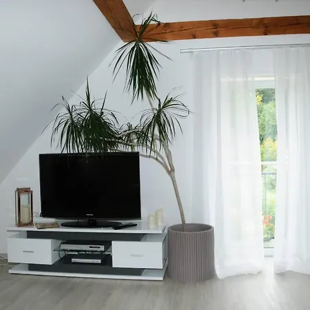 Appartement Steiert Freiburg im Breisgau