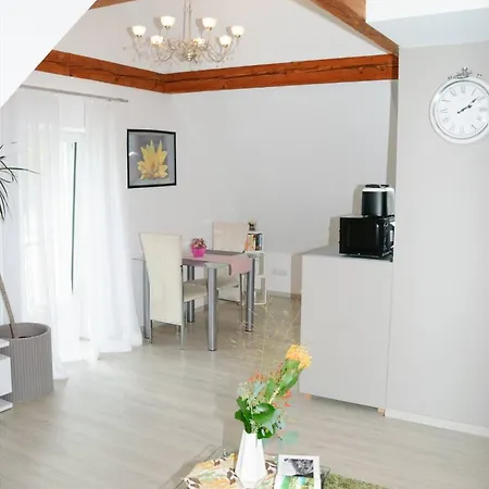 Steiert * פרייבורג