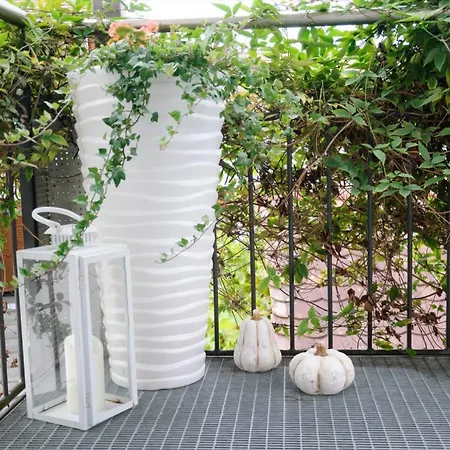 Steiert פרייבורג