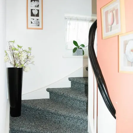 Steiert Appartement Freiburg im Breisgau