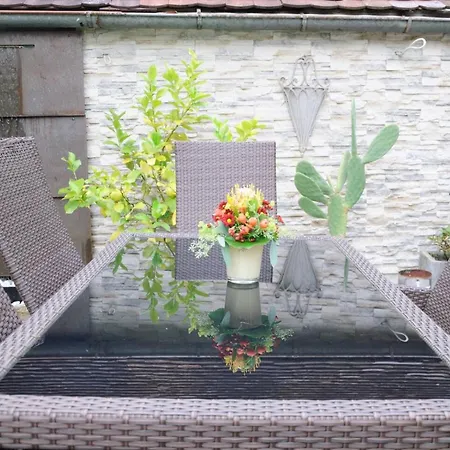 Steiert Appartement Freiburg im Breisgau