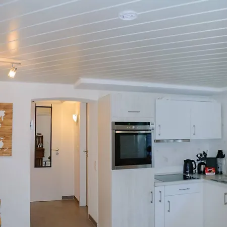 Steiert פרייבורג