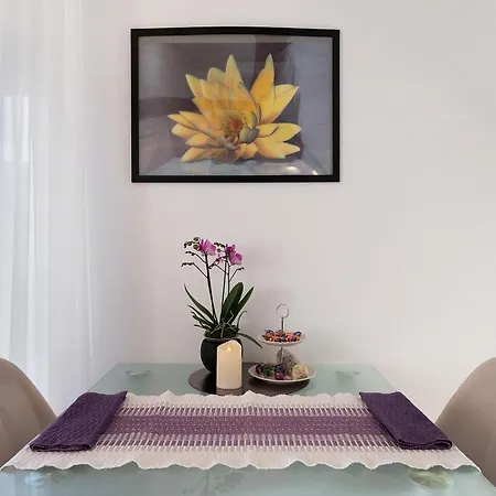 Steiert Appartement *