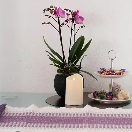 Steiert Appartement Fribourg im Breisgau