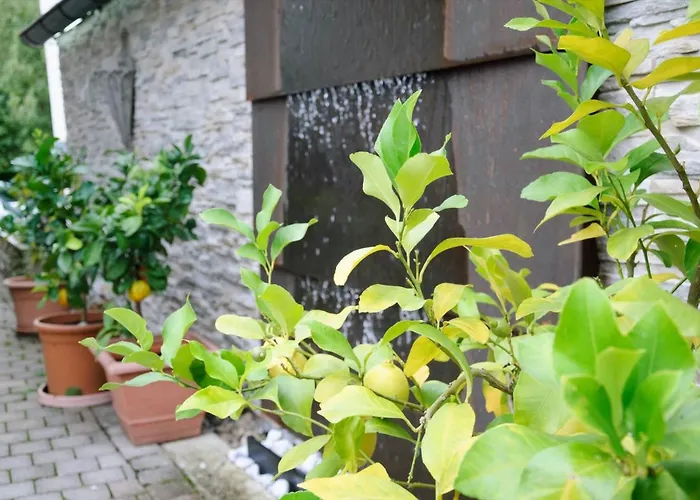 Steiert Appartement Fribourg im Breisgau