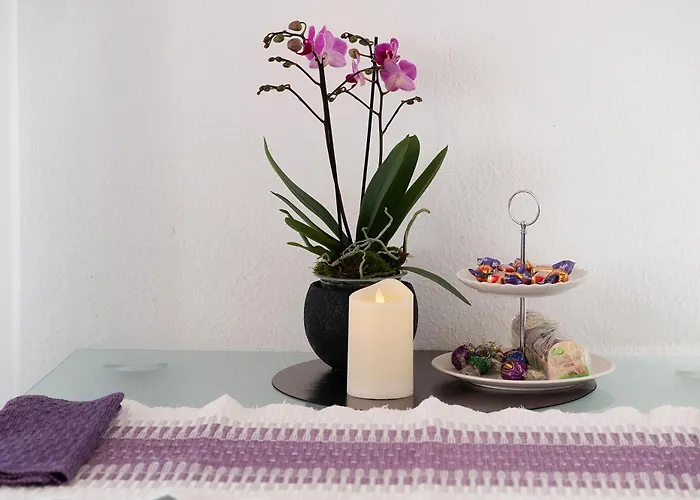 Steiert Appartement Fribourg im Breisgau